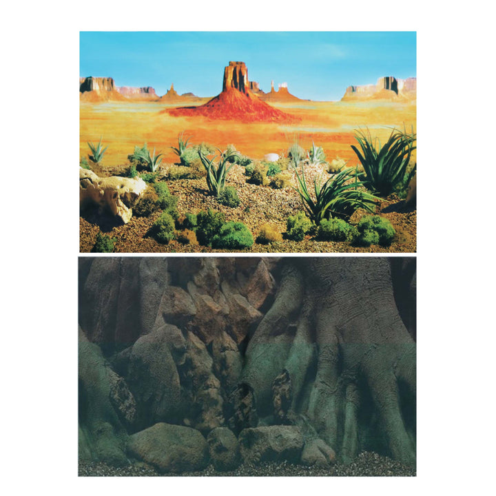 2597071_01