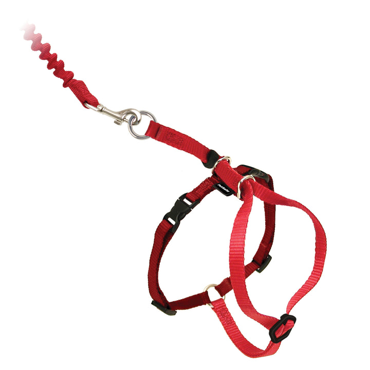 CWMK-M-RED_MAIN