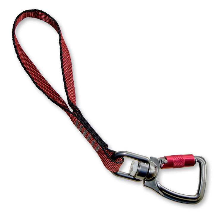 K01179_MAIN
