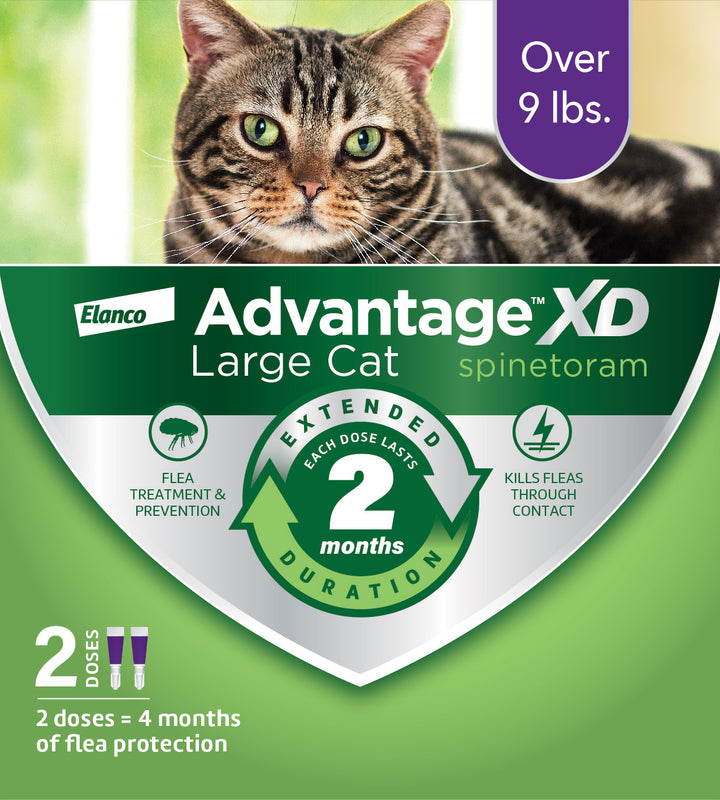 Large_Cat_2pack_side-front_pack_mkt_friendly_NoSidePanel