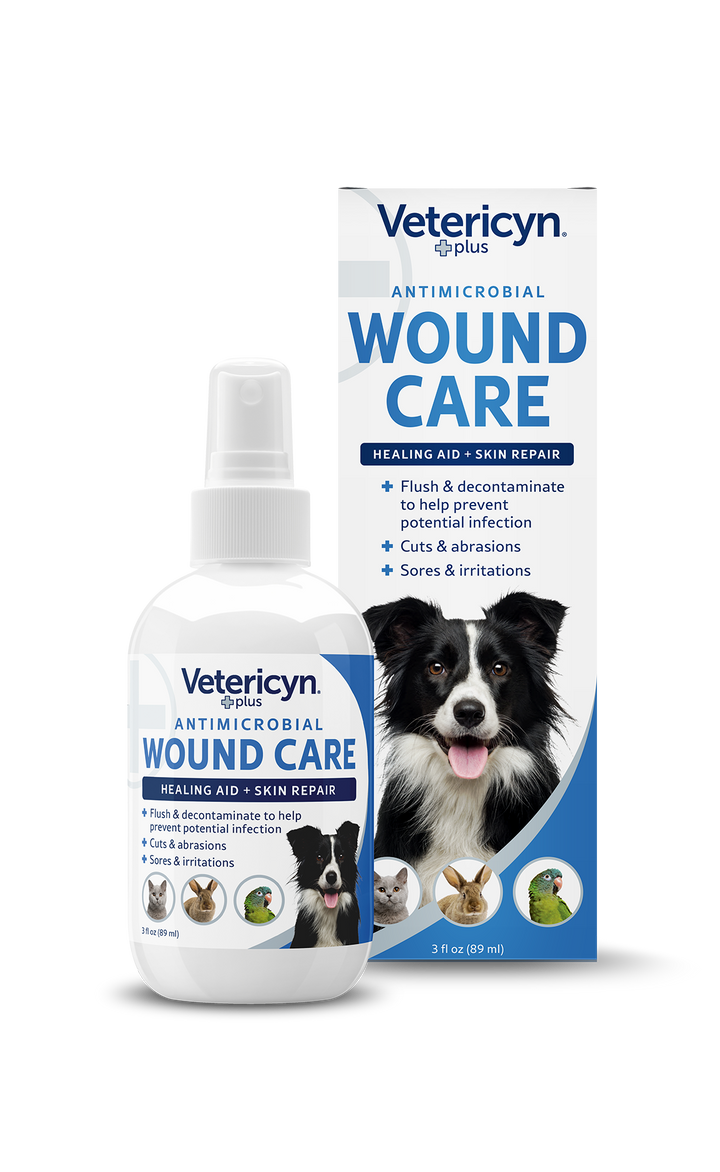 PETSENSE1256014_1