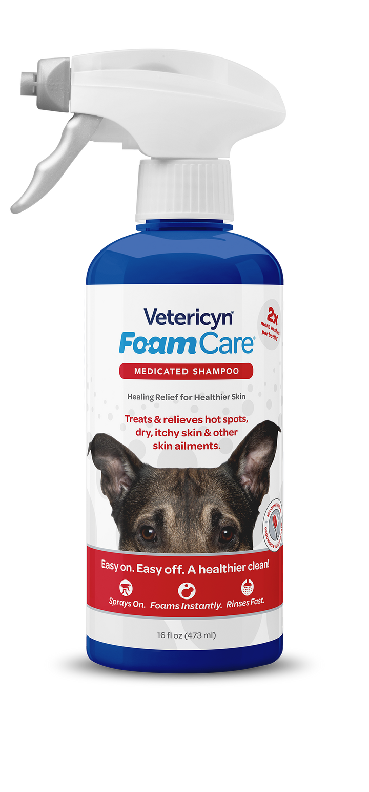PETSENSE1397508_1